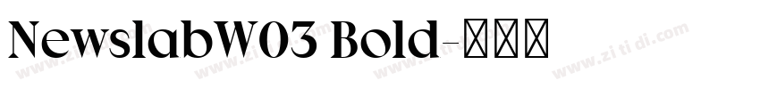 NewslabW03 Bold字体转换